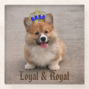 Posavasos De Vidrio Foto de porras de Corgi real y leal