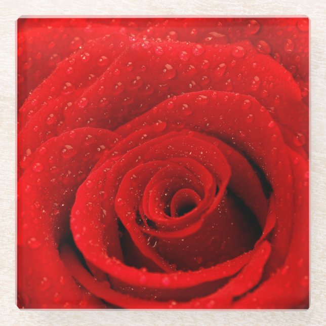 Posavasos De Vidrio Foto del fondo del rosa rojo (Anverso)