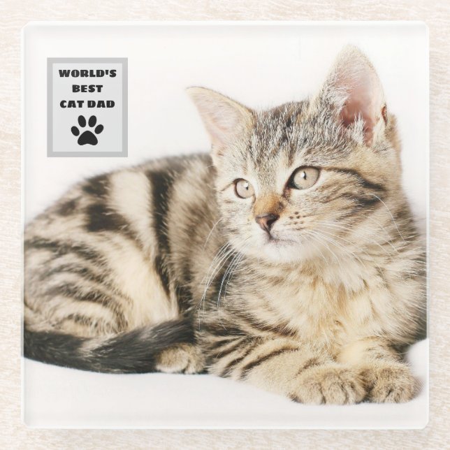 Posavasos De Vidrio Foto del mejor Personalizado de papá gato del mund (Anverso)