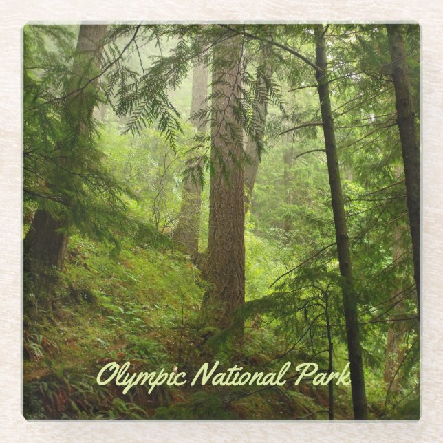 Posavasos De Vidrio Foto del Parque Nacional Olímpico (Anverso)
