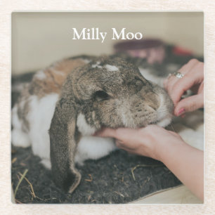 Posavasos De Vidrio Foto Mascota personalizada