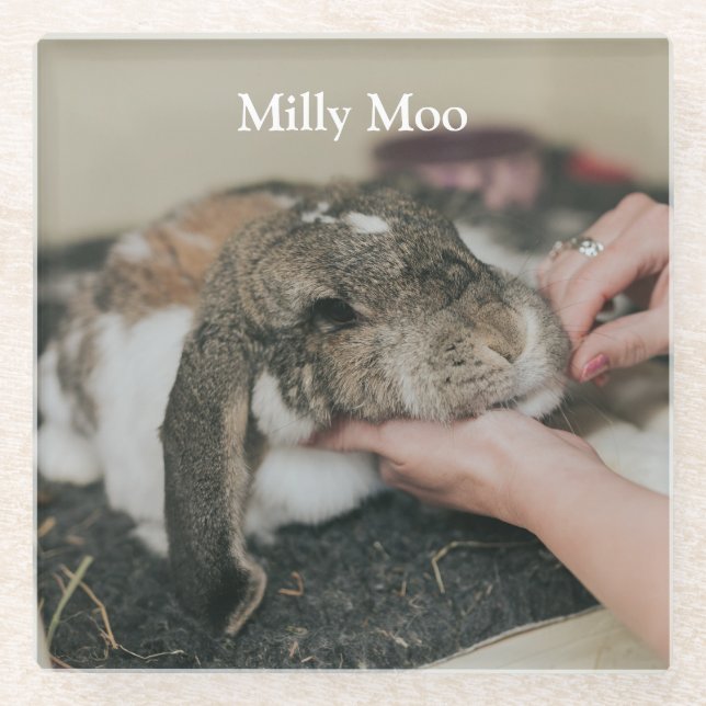 Posavasos De Vidrio Foto Mascota personalizada (Anverso)