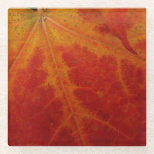 Posavasos De Vidrio Fotografía abstracta de la naturaleza otoñal de ho