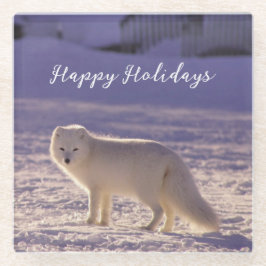 Posavasos De Vidrio Fotografía de invierno de la nieve de Fox blanca