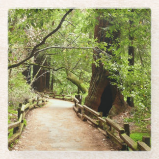 Posavasos De Vidrio Fotografía de la Naturaleza de Camino II de Muir W