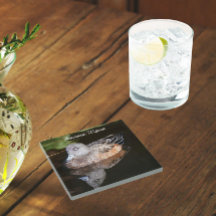 Fotografía de la vitalidad estadounidense