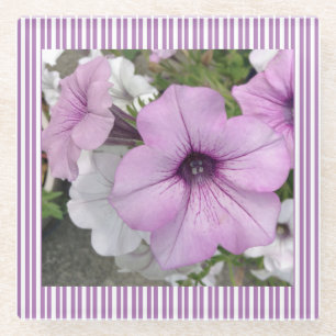 Posavasos De Vidrio Fotografía de Purple Petunia Floral