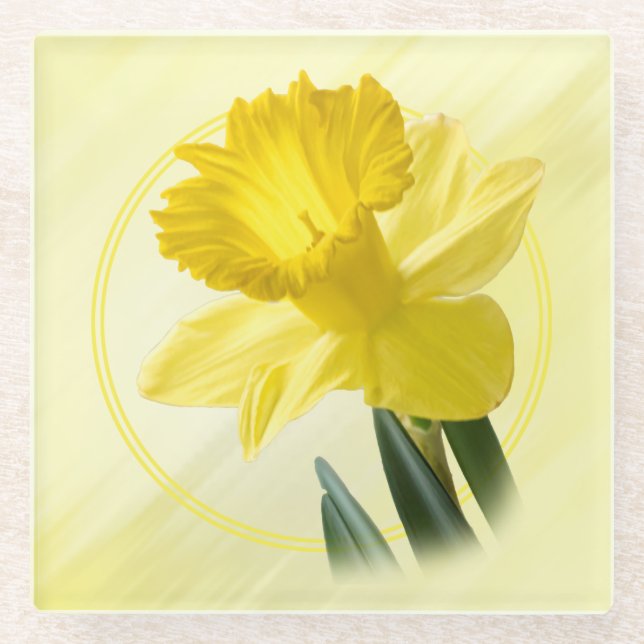 Posavasos De Vidrio Fotografía floral Naturaleza daffodil amarilla (Anverso)