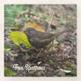 Posavasos De Vidrio Fox Sparrow