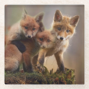 Posavasos De Vidrio Foxy Triplets