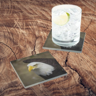 Posavasos De Vidrio Fuerza de Águila Calva – Juego de Montaña Rusa Aud