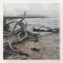 Posavasos De Vidrio Fuerzas Naturales del Lago Tyrrell