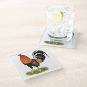 Posavasos De Vidrio Gamecock Wheaten Rooster