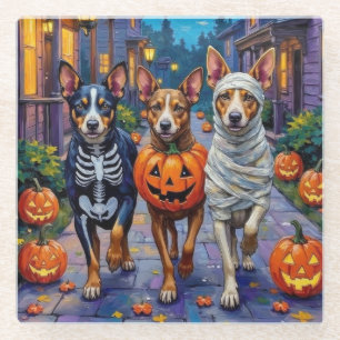 Posavasos De Vidrio Ganado Australiano Pidiendo Dulces en Halloween