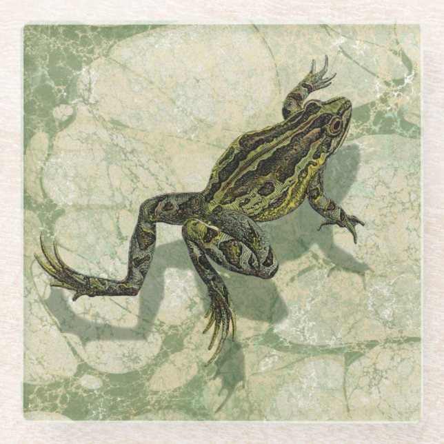 Posavasos De Vidrio Ganancia de toad en el agua (Anverso)