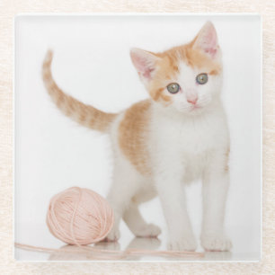 Posavasos De Vidrio Gatito al lado de la bola de la secuencia