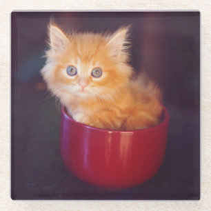 Posavasos De Vidrio Gatito anaranjado en una taza roja