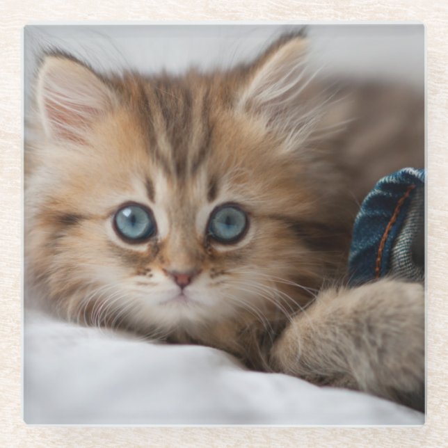 Posavasos De Vidrio Gatito con los ojos azules (Anverso)