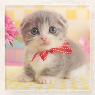 Posavasos De Vidrio Gatito de Munchkin