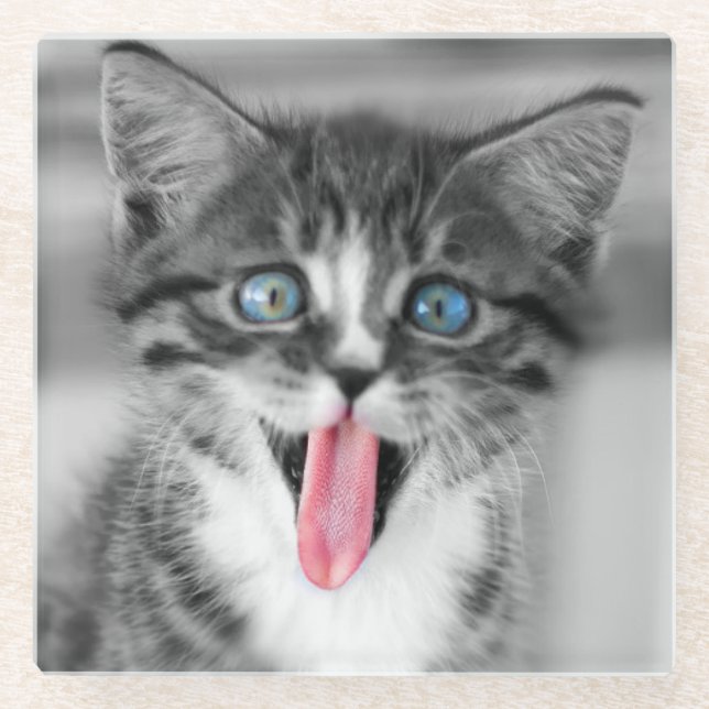 Posavasos De Vidrio Gatito divertido (Anverso)