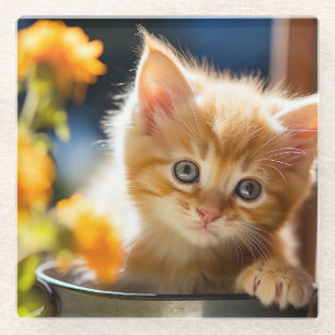 Posavasos De Vidrio Gatito dulce juguetón 