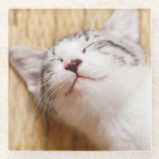 Posavasos De Vidrio Gatito el dormir (Anverso)
