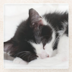 Posavasos De Vidrio Gatito el dormir
