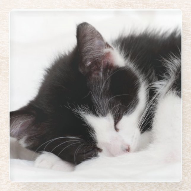 Posavasos De Vidrio Gatito el dormir (Anverso)
