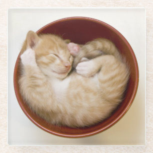 Posavasos De Vidrio Gatito el dormir