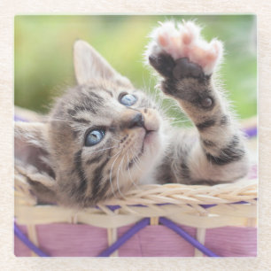 Posavasos De Vidrio Gatito en una cesta