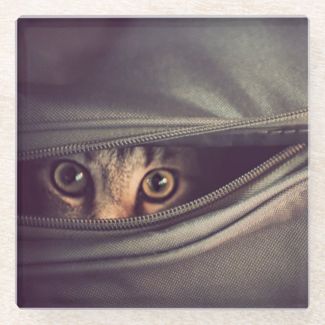 Posavasos De Vidrio Gatito joven del Tabby (Anverso)