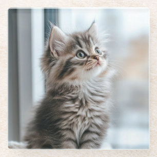 Posavasos De Vidrio Gatito mirando por la ventana