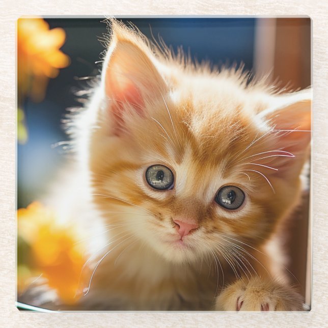 Posavasos De Vidrio Gatito naranja atigrado dulce  (Anverso)
