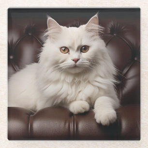 Posavasos De Vidrio Gato blanco majestuoso