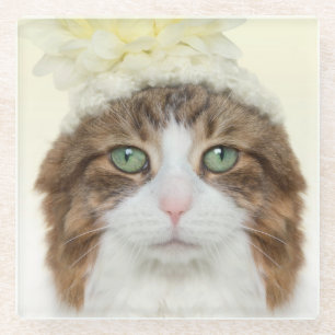 Posavasos De Vidrio Gato con el gorra de la flor