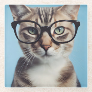 Posavasos De Vidrio Gato con gafas