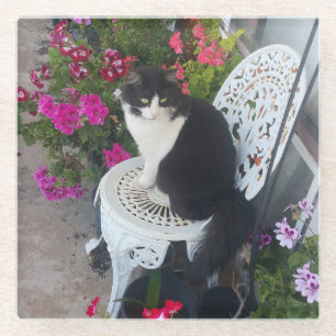 Posavasos De Vidrio Gato esmoquin lindo con hermosas flores gatos negr