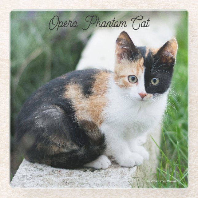 Posavasos De Vidrio Gato Fantasma de la Ópera (Anverso)