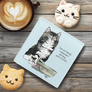 Posavasos De Vidrio Gato Gris Tabby Independiente Azul Divertido y Lin