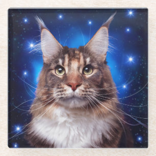 Posavasos De Vidrio Gato Main Coon Fondo Azul Estrellas