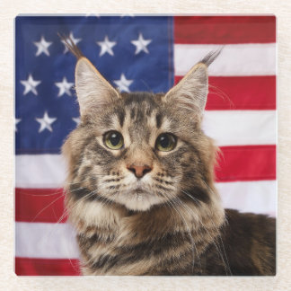 Posavasos De Vidrio Gato Maine Coon con bandera americana