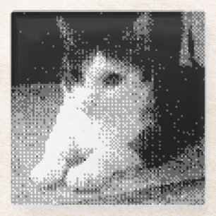 Posavasos De Vidrio gato pixelado