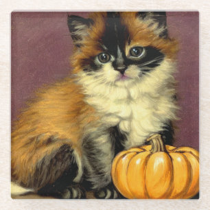 Posavasos De Vidrio Gato Vintage Ragdoll Halloween