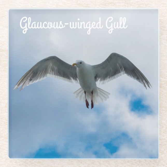 Posavasos De Vidrio Gaviota glaucosa (Anverso)