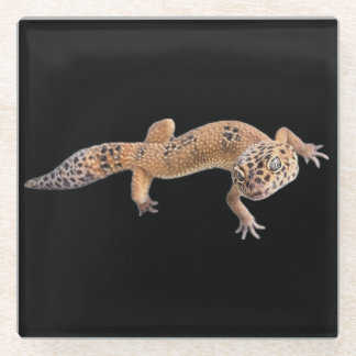 Posavasos De Vidrio Geco Leopardo