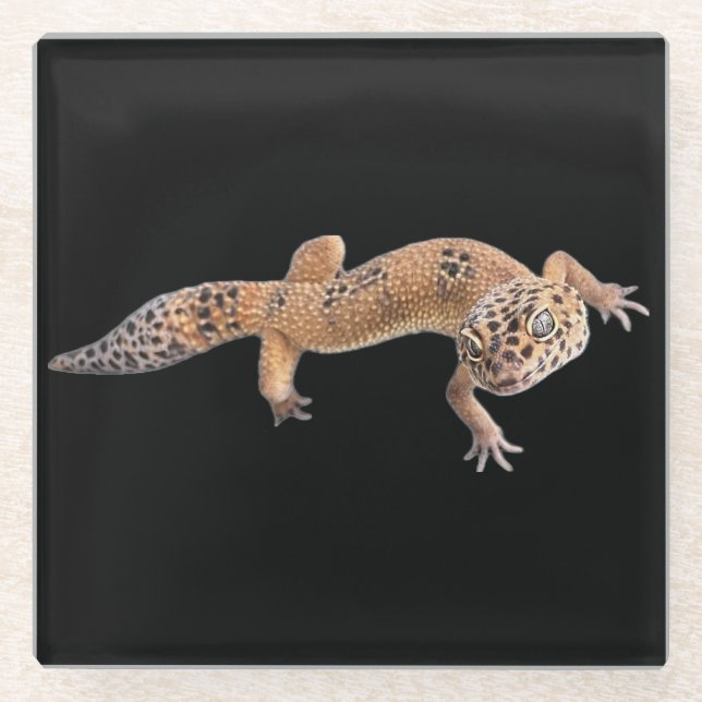 Posavasos De Vidrio Geco Leopardo (Anverso)