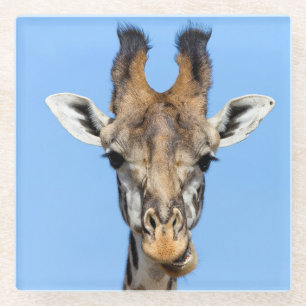 Posavasos De Vidrio Giraffe