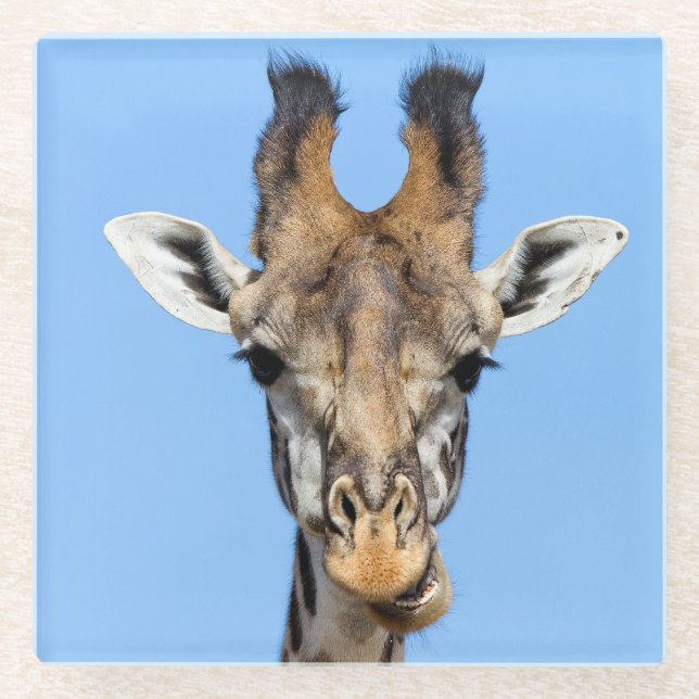 Posavasos De Vidrio Giraffe (Anverso)