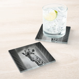 Posavasos De Vidrio Giraffe en un paisaje urbano