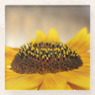 Posavasos De Vidrio Girasol